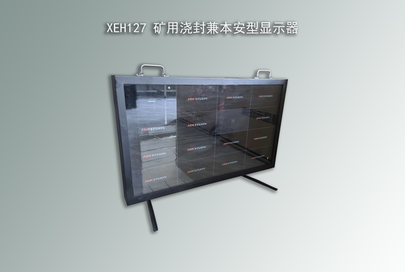 XEH127 矿用浇封兼本安型显示器800.jpg